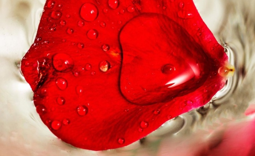 EXPOSICIÓN ‘FOTOGRAFÍA Y CIENCIA’